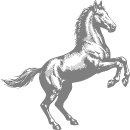 cheval 2 1